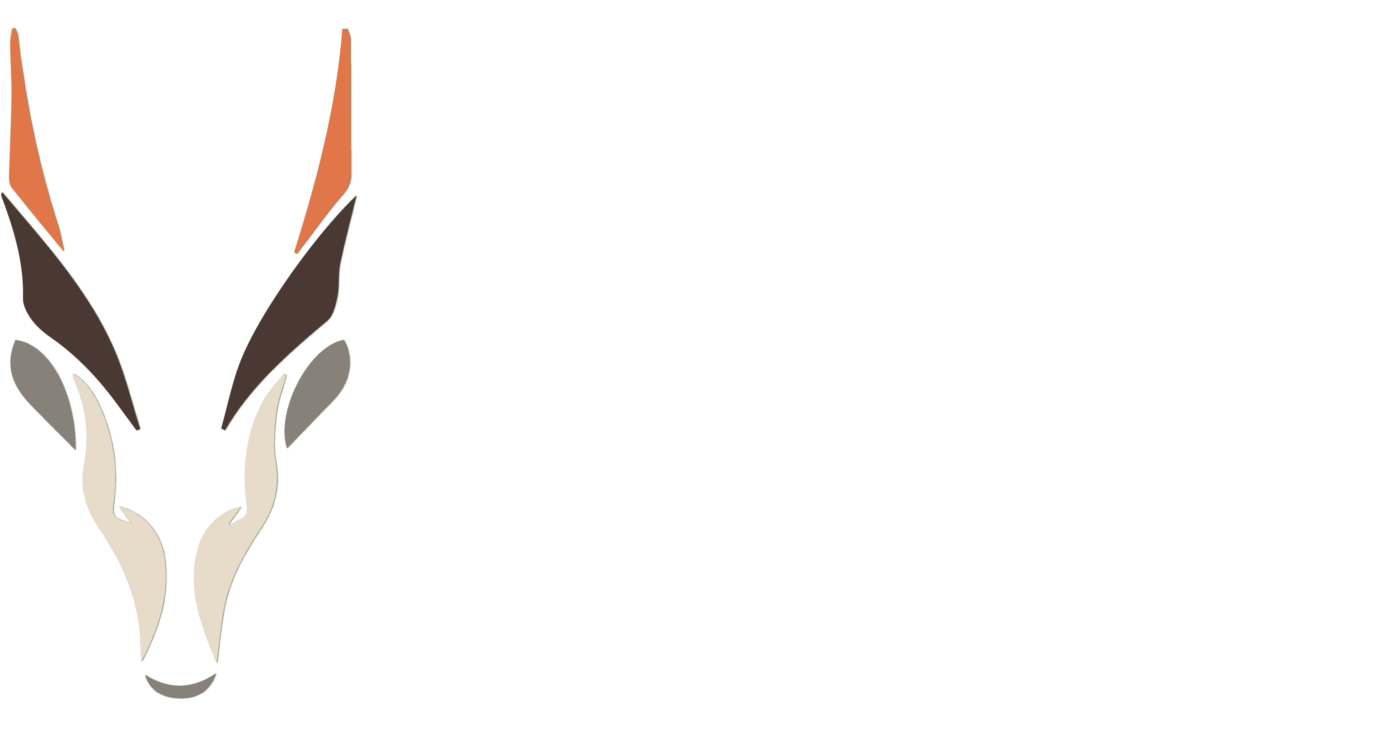 Niche Enterprise Solutions